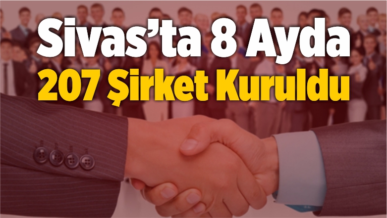 207 Şirket