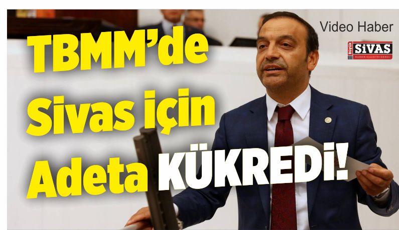 ahmet özyürek tbmm