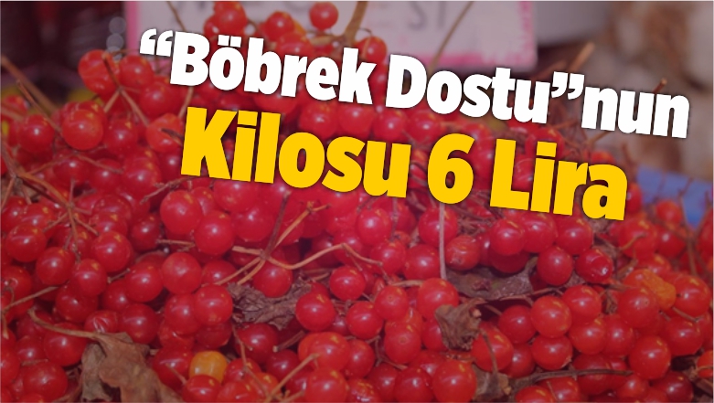 Böbrek Dostu