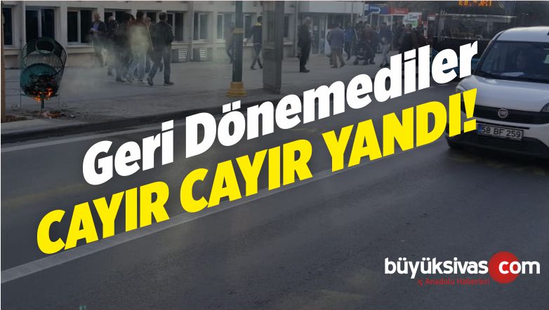 cayır cayır