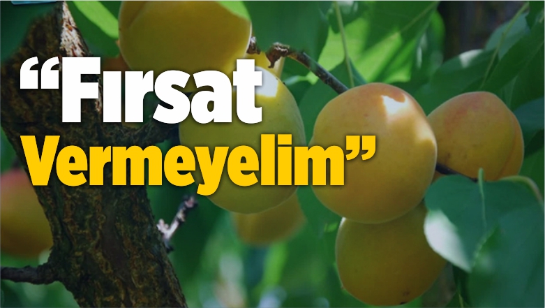 Fırsat Vermeyelim