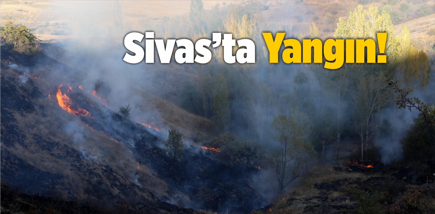 Sivas’ta Otluk Alanda Çıkan Yangın Söndürüldü
