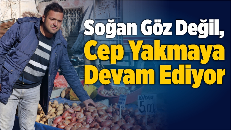 Soğan Göz Değil, Cep Yakmaya Devam Ediyor