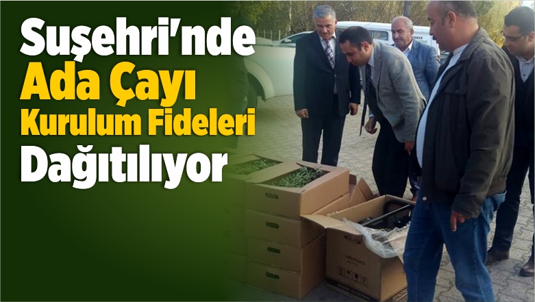 Suşehri’nde Ada Çayı Kurulum Fideleri Dağıtılıyor
