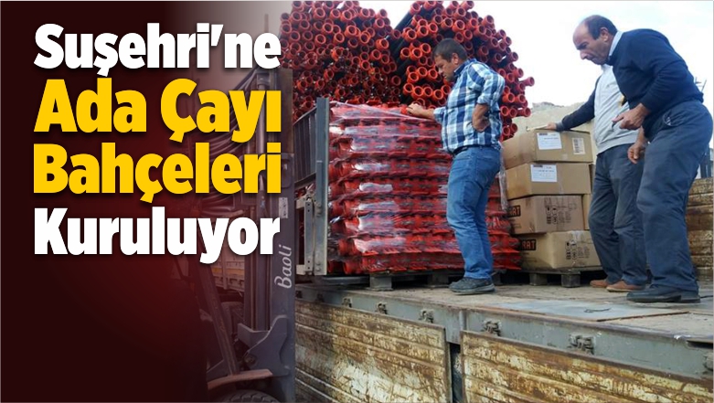 Suşehri’ne Ada Çayı Bahçeleri Kuruluyor