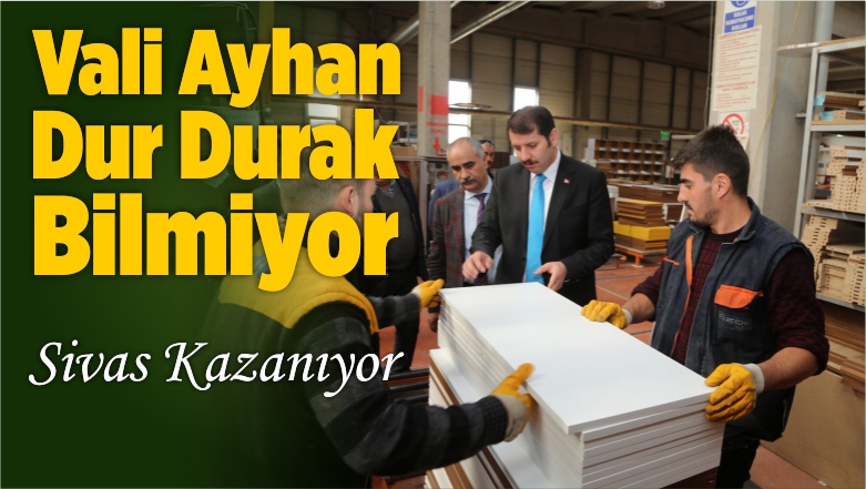 Vali Salih Ayhan Kamu Yatırımlarını İnceledi