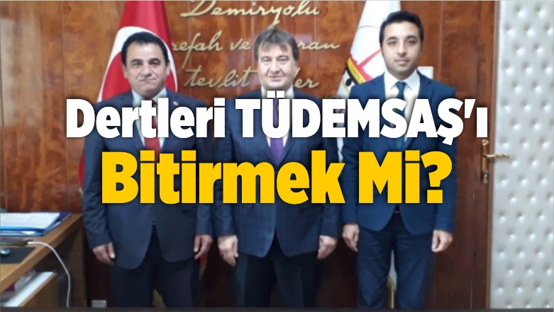 Dertleri TÜDEMSAŞ’ı Bitirmek Mi?