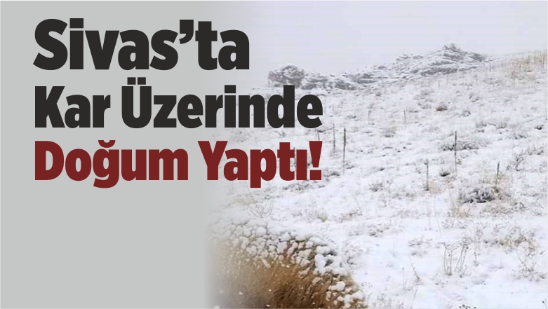 Sivas’ta Aniden Bastıran Kar Üstünde Doğum Yaptı!