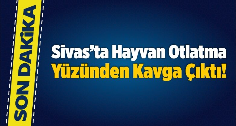 Hayvan Otlatma Yüzünden Çıkan Kavgada 3 Kişi Yaralandı