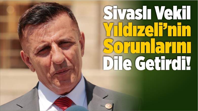 Sorunlarını