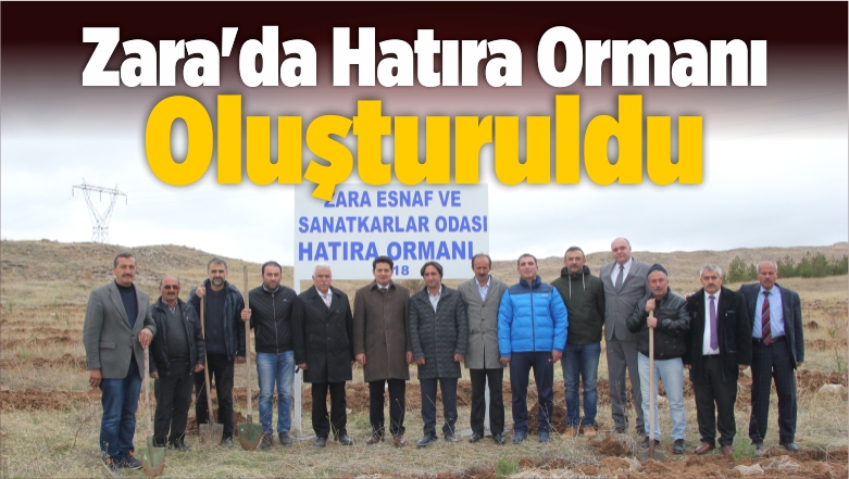 Hatıra Ormanı