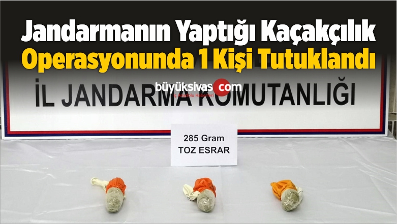 Jandarmanın Yaptığı Kaçakçılık Operasyonunda 1 Kişi Tutuklandı