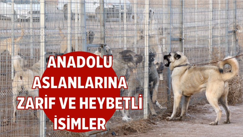 “İsimleri Heybet Ve Güzelliklerine Göre Veriliyor”