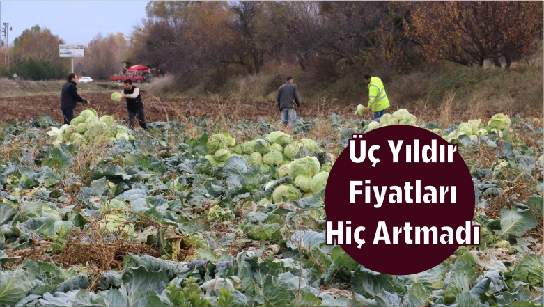 Üç Yıldır Fiyatları Hiç Artmadı