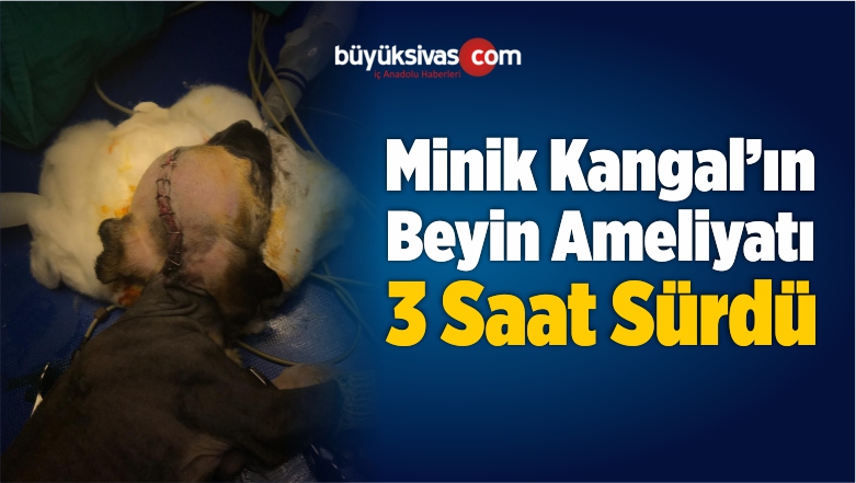 Beyin Ameliyatı