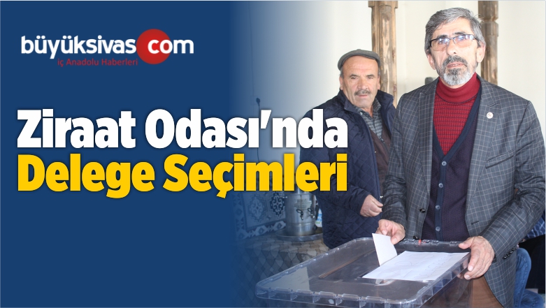 Delege Seçimleri