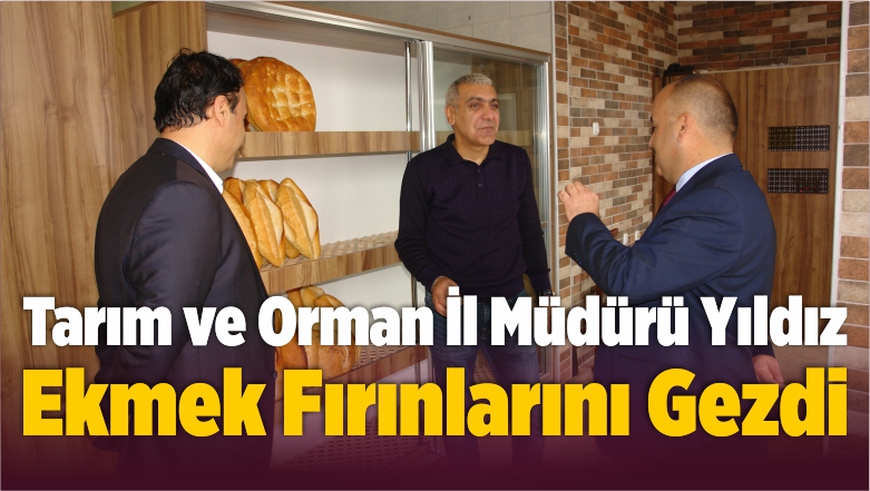 Ekmek Fırınlarını