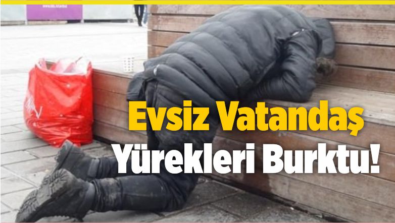 evsiz
