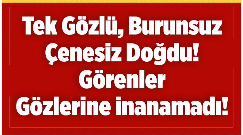 gözlerine inanamadı