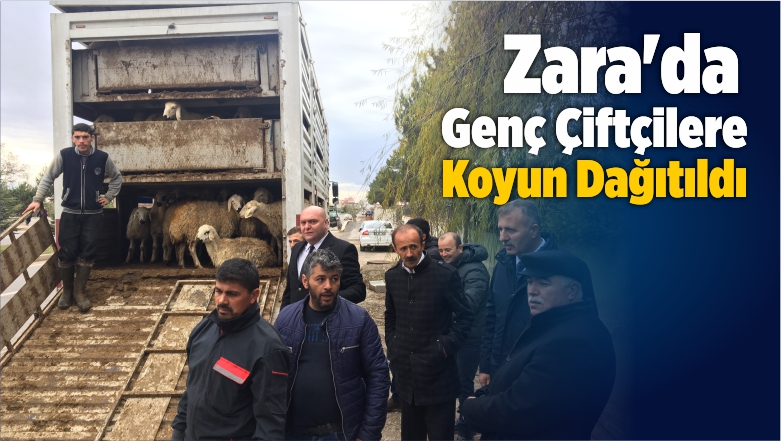 Zara’da Genç Çiftçilere Koyun Dağıtıldı