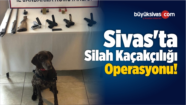 Sivas’ta Silah Kaçakçılığı Operasyonu!