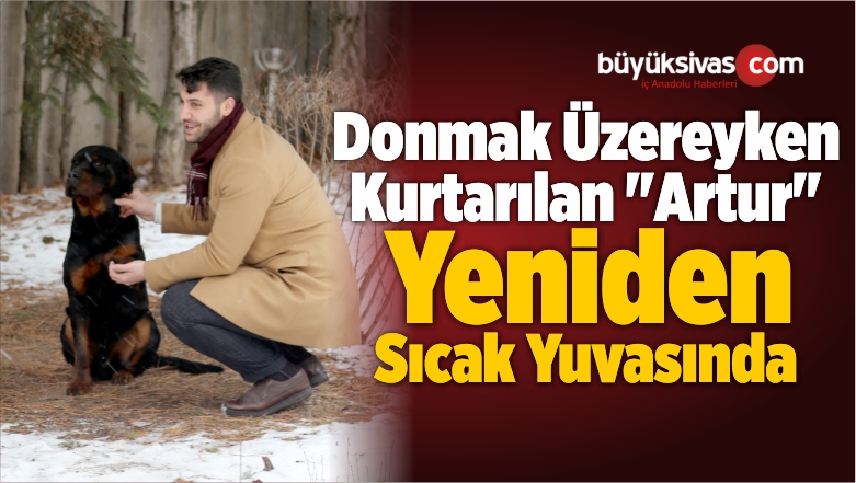 Donmak Üzereyken Kurtarılan “Artur” Yeniden Sıcak Yuvasında