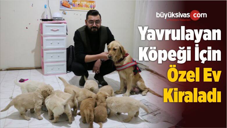 Kiraladı