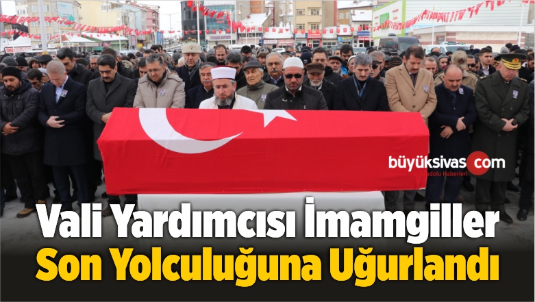 Vali Yardımcısı