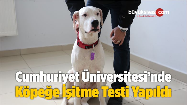 işitme Testi