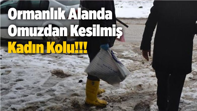 kadın kolu