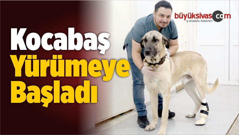 Yürümeye Başladı