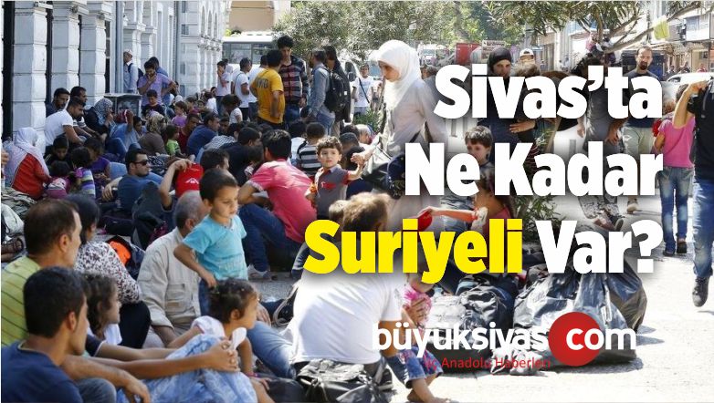 Türkiye’de Geçici Koruma Altındaki 3 milyon 622 bin 366 Suriyeli Nerede Yaşıyor