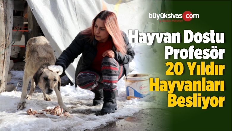 Hayvan Dostu Profesör 20 Yıldır Sokak Hayvanlarını Besliyor