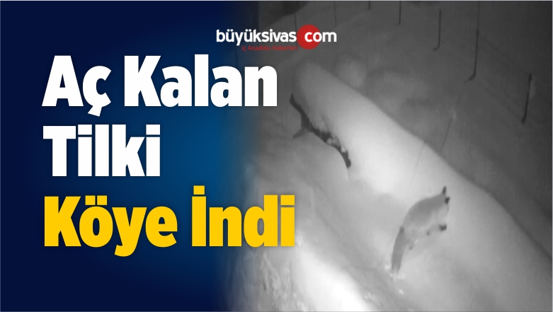 Aç Kalan