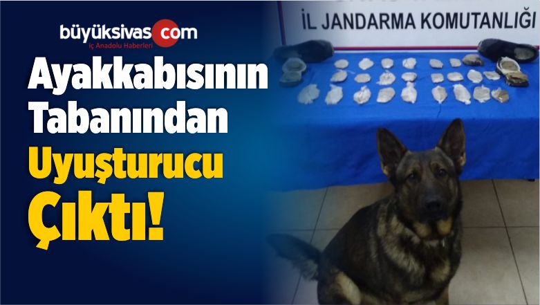 Tabanlarında