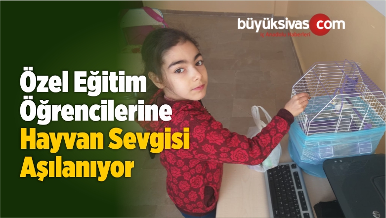 Hayvan Sevgisi