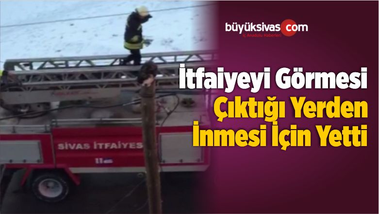 Gelen İtfaiyeyi Görmesi Çıktığı Yerden İnmesi İçin Yetti