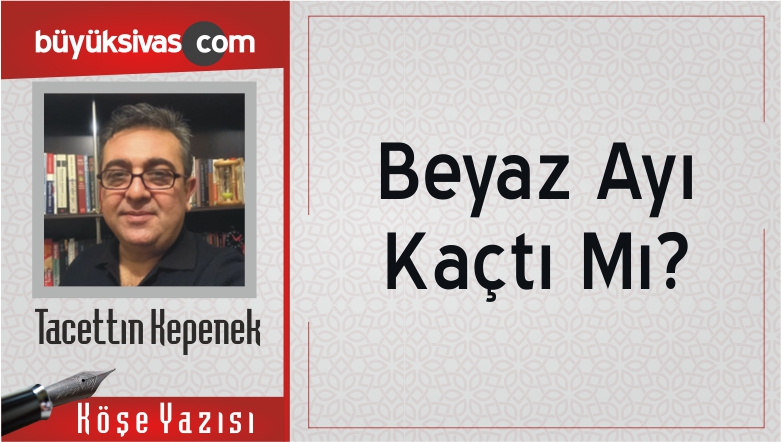 “Beyaz Ayı Kaçtı Mı?”