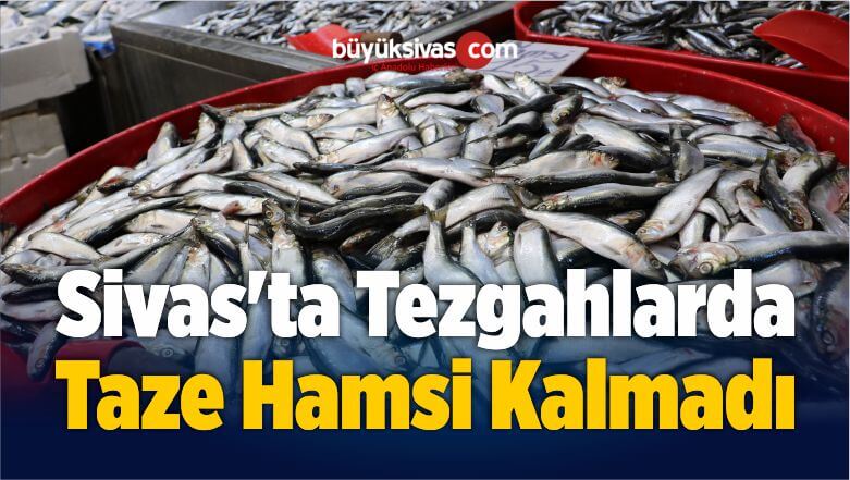 Sivas’ta Tezgahlarda Taze Hamsi Kalmadı