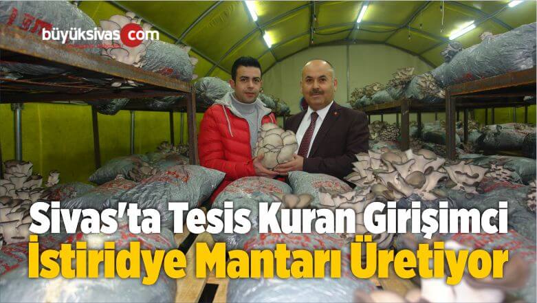 istiridye Mantarı