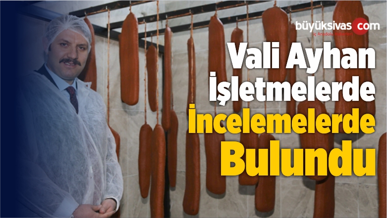 Vali Ayhan İşletmelerde İncelemelerde Bulundu