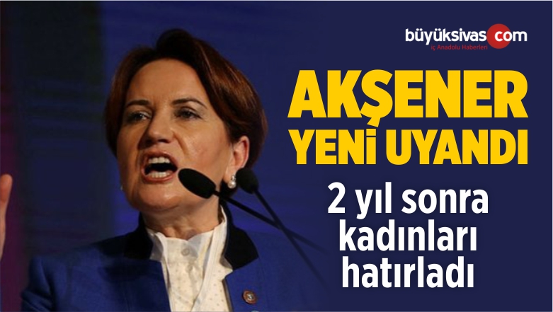 Başkanı Kadın Olan Partinin Kadın Kolları Yok!