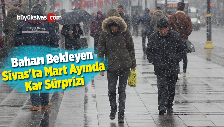 Kar Yağışı Başladı