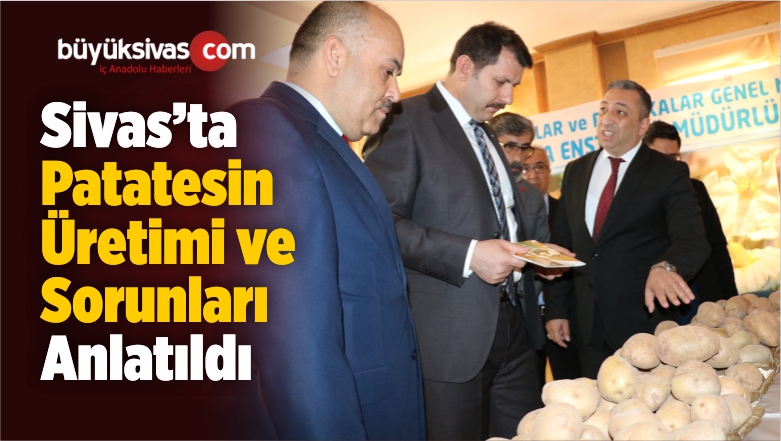 Sivas’ta Patatesin Üretimi ve Sorunları Anlatıldı