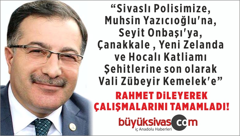 şahin