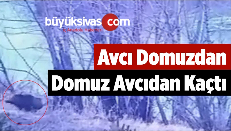 avcıdan korkup