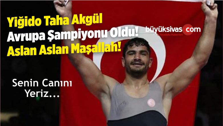 Yiğido Taha Akgül Avrupa Şampiyonu Oldu! Aslan Aslan Maşallah!