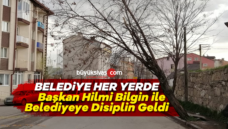 Devrilme Tehlikesi Bulunan Ağaç Belediye Ekiplerince Kesildi