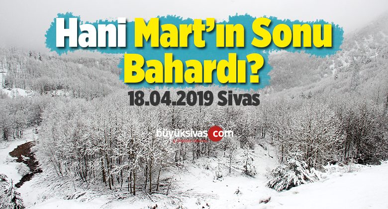 Sivas’ın Yüksek Kesimlerinde Kar Yağışı Etkili Oldu