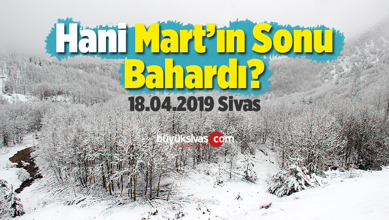 Yüksek Kesimlerinde